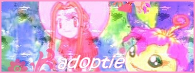 lay out adoptie